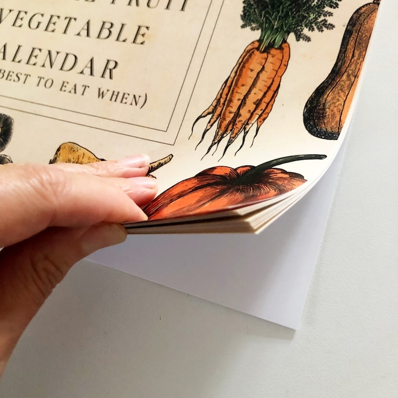 🍓Fruit and 🍆Vegetable Seasonal Calendar