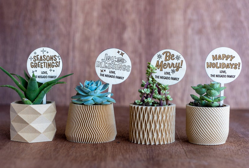 🌱🌱Holiday Succulent Gift Plant Tag Ideas Christmas Gift Ideas