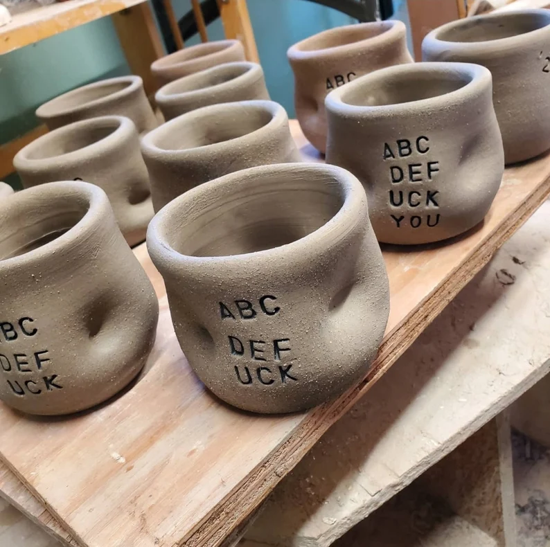 🤪Funny Succulent Pot