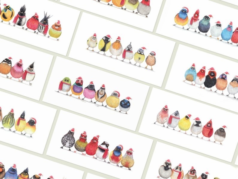 Christmas Gift - 🐦12 Cute Little Birdies Cards