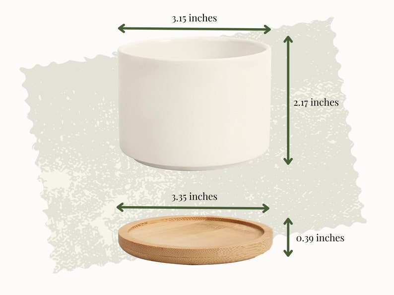 Succulent Pots Succulent Planter with Drainage Funny Plant image 7