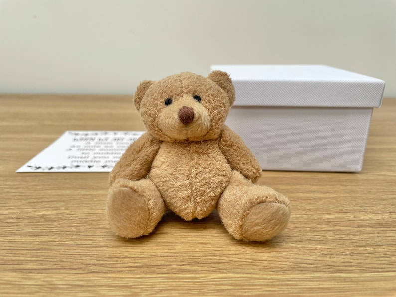 Long Distance Love Gift Pocket Bear Boyfriend Long Distance image 2