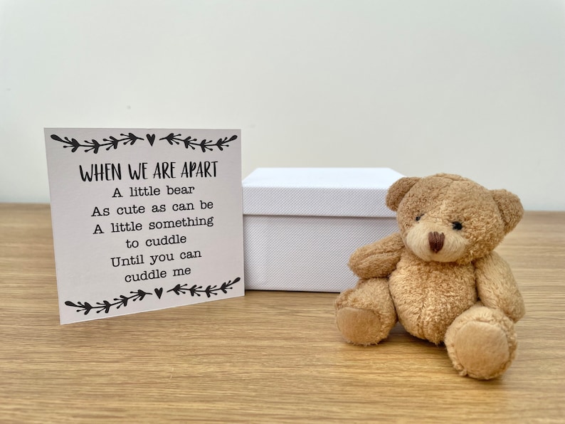 Long Distance Love Gift Pocket Bear Boyfriend Long Distance image 9