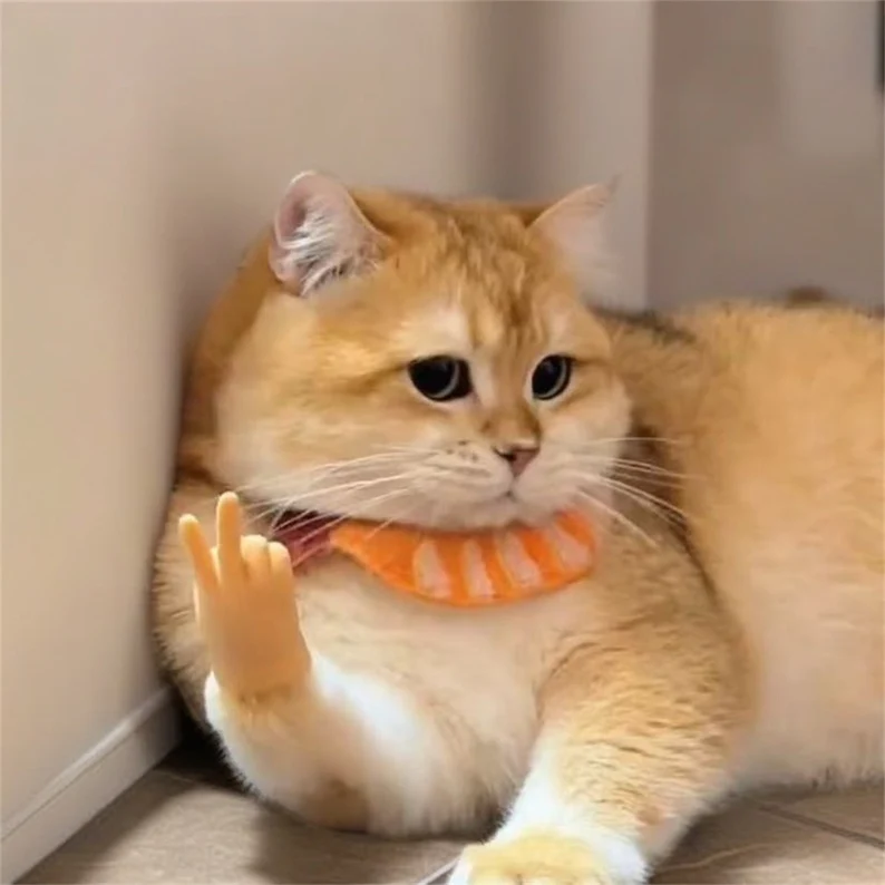 🎁Unique Pet Gift - 🐾Cat Hands