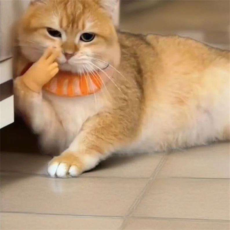 🎁Unique Pet Gift - 🐾Cat Hands