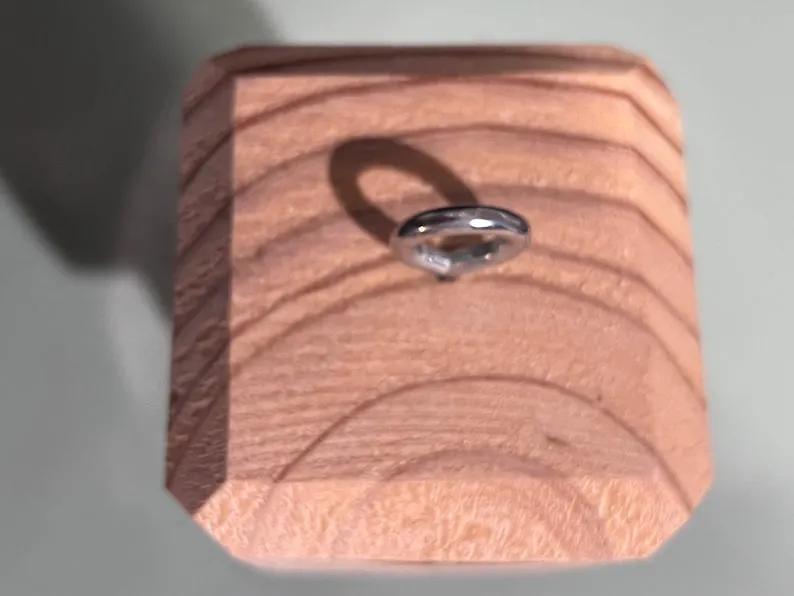 Best Carpenter Bee Trap