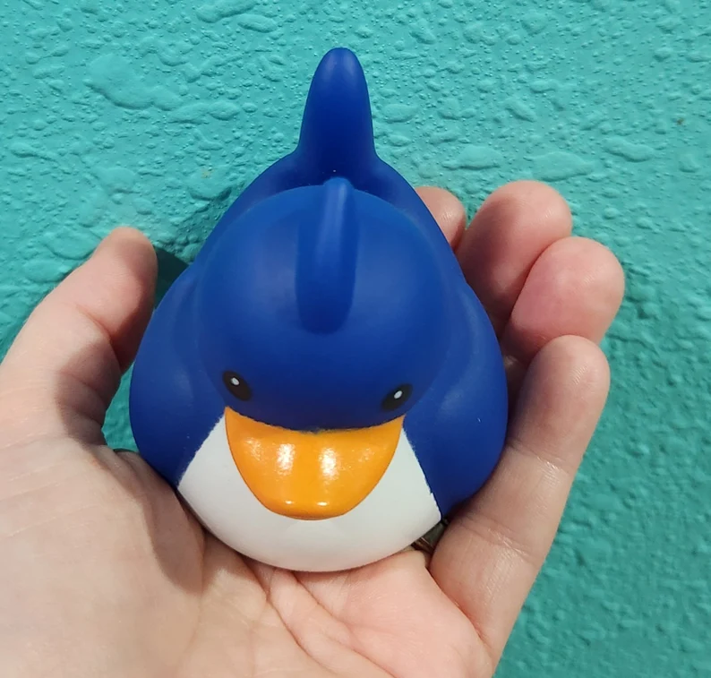 🦈Shark Rubber Duck🤣