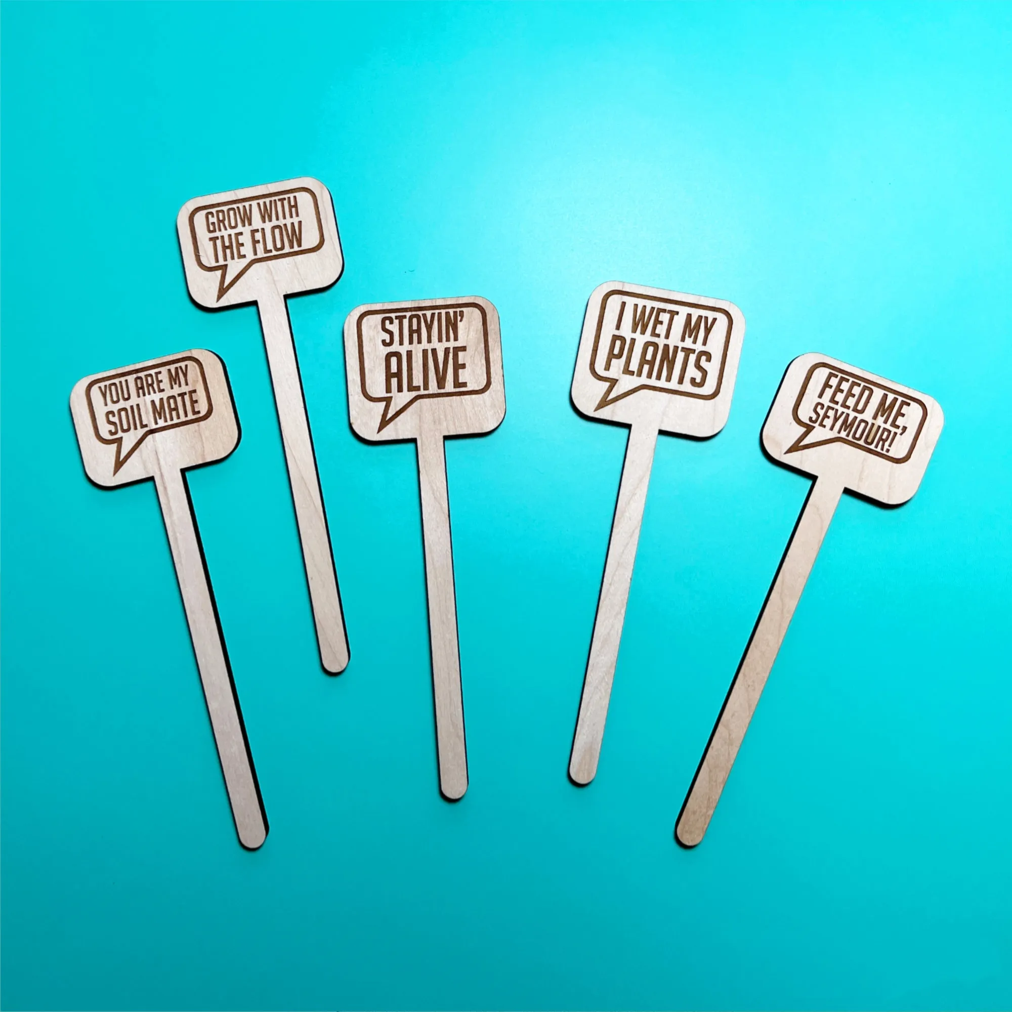 😆Fun Cheeky Woodplant Stakes