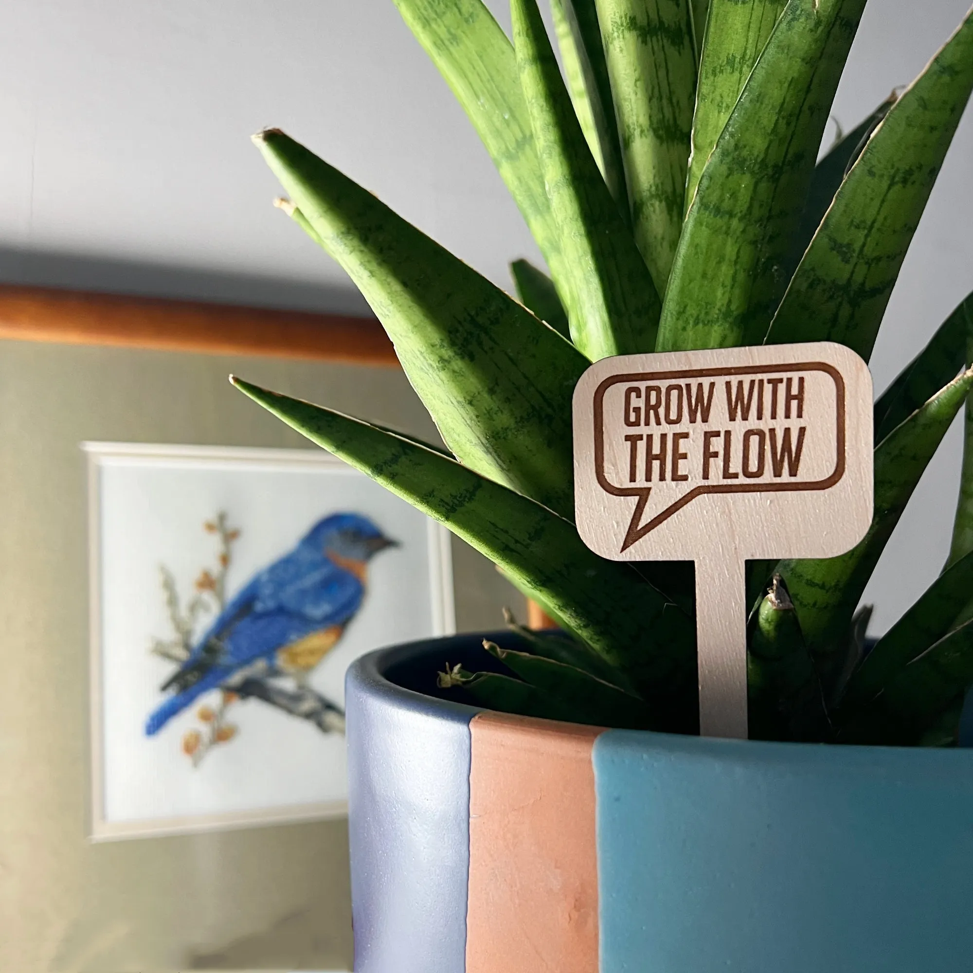 😆Fun Cheeky Woodplant Stakes