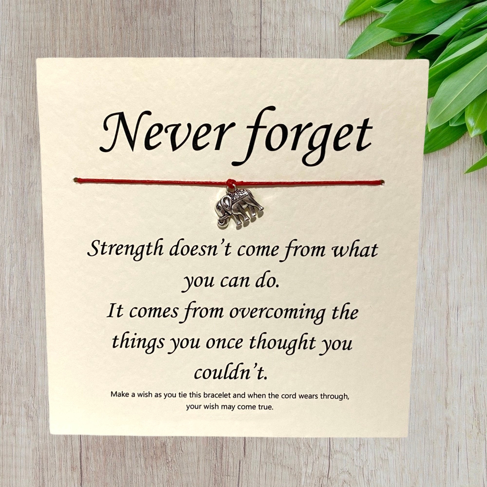 ✨Wish Bracelet - You’ve got this...