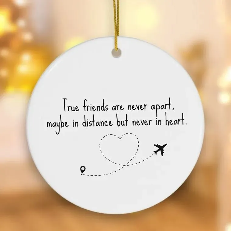 🎁💝 2023 CHRISTMAS GIFT - Funny Friendship Ornament😂