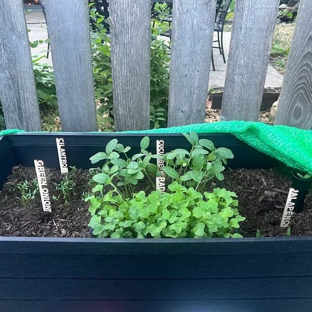 🌻Interesting Plant Markers - Christmas Gifts for Gardeners🎄