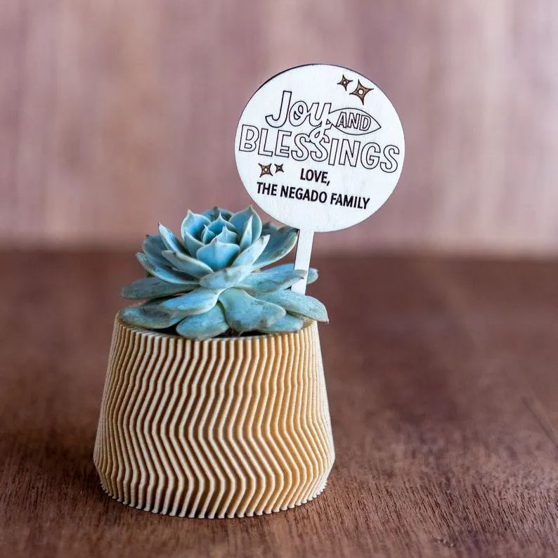 🌱🌱Holiday Succulent Gift Plant Tag Ideas Christmas Gift Ideas