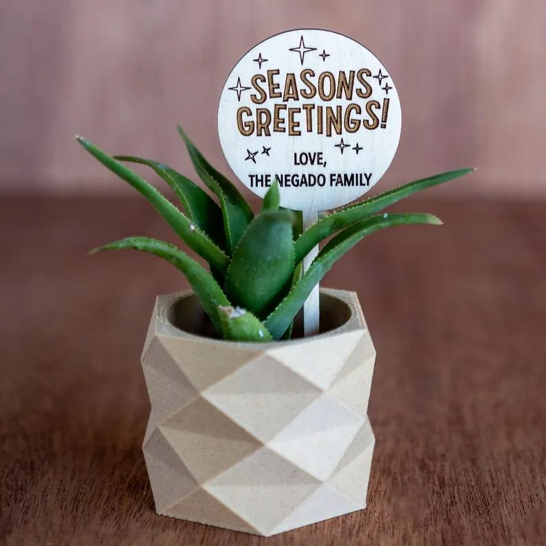🌱🌱Holiday Succulent Gift Plant Tag Ideas Christmas Gift Ideas