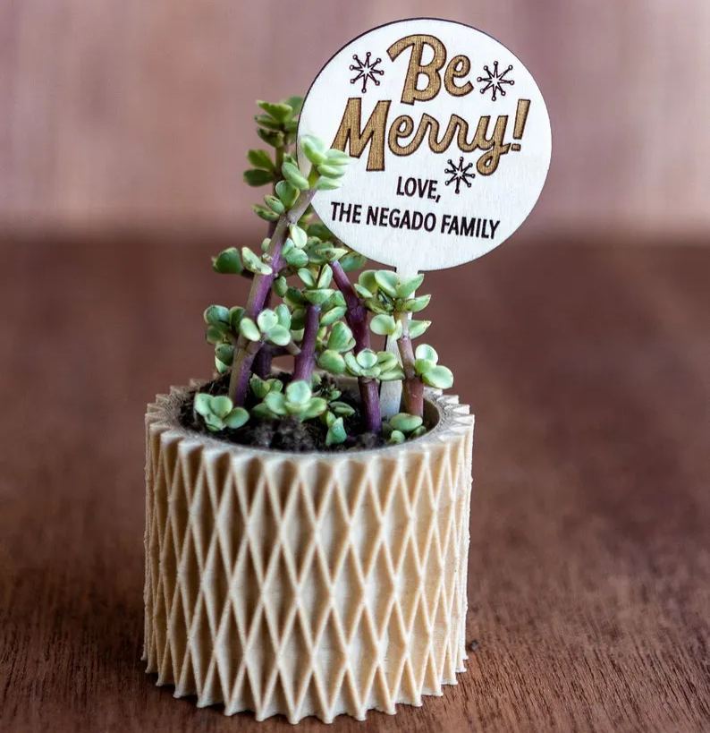 🌱🌱Holiday Succulent Gift Plant Tag Ideas Christmas Gift Ideas