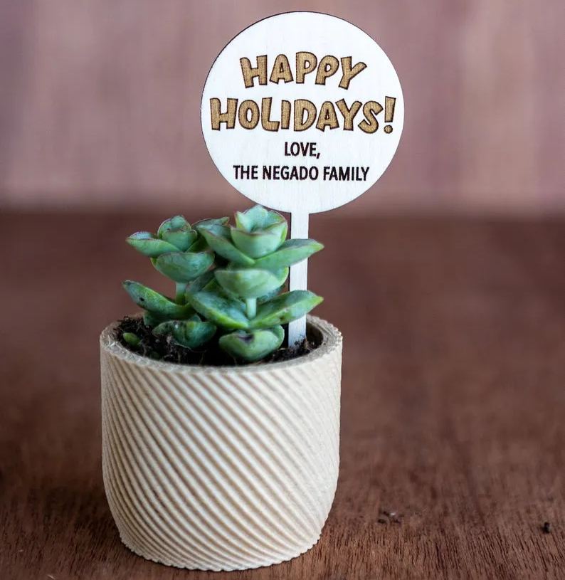 🌱🌱Holiday Succulent Gift Plant Tag Ideas Christmas Gift Ideas