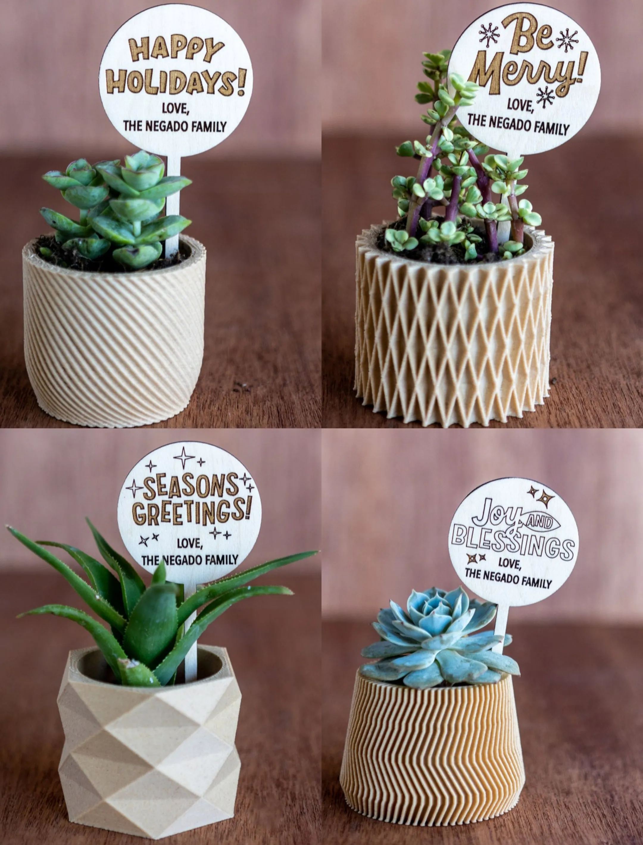 🌱🌱Holiday Succulent Gift Plant Tag Ideas Christmas Gift Ideas