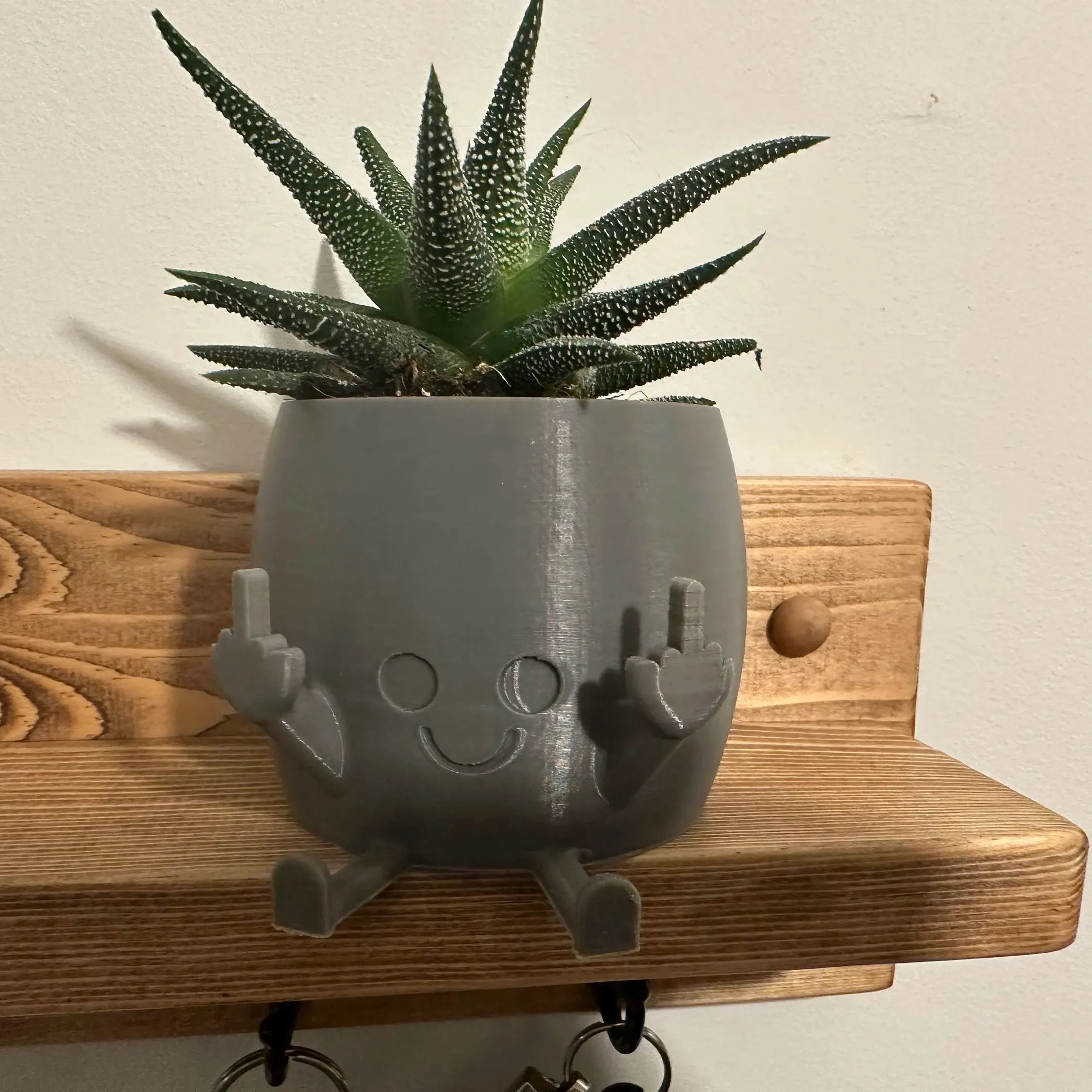 Smiling Plant Pot with Middle Fingers Up