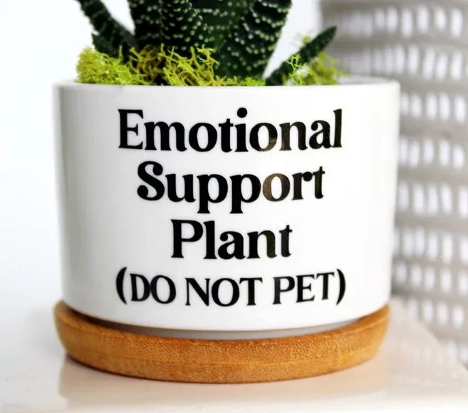 🌱Funny Plant Pot