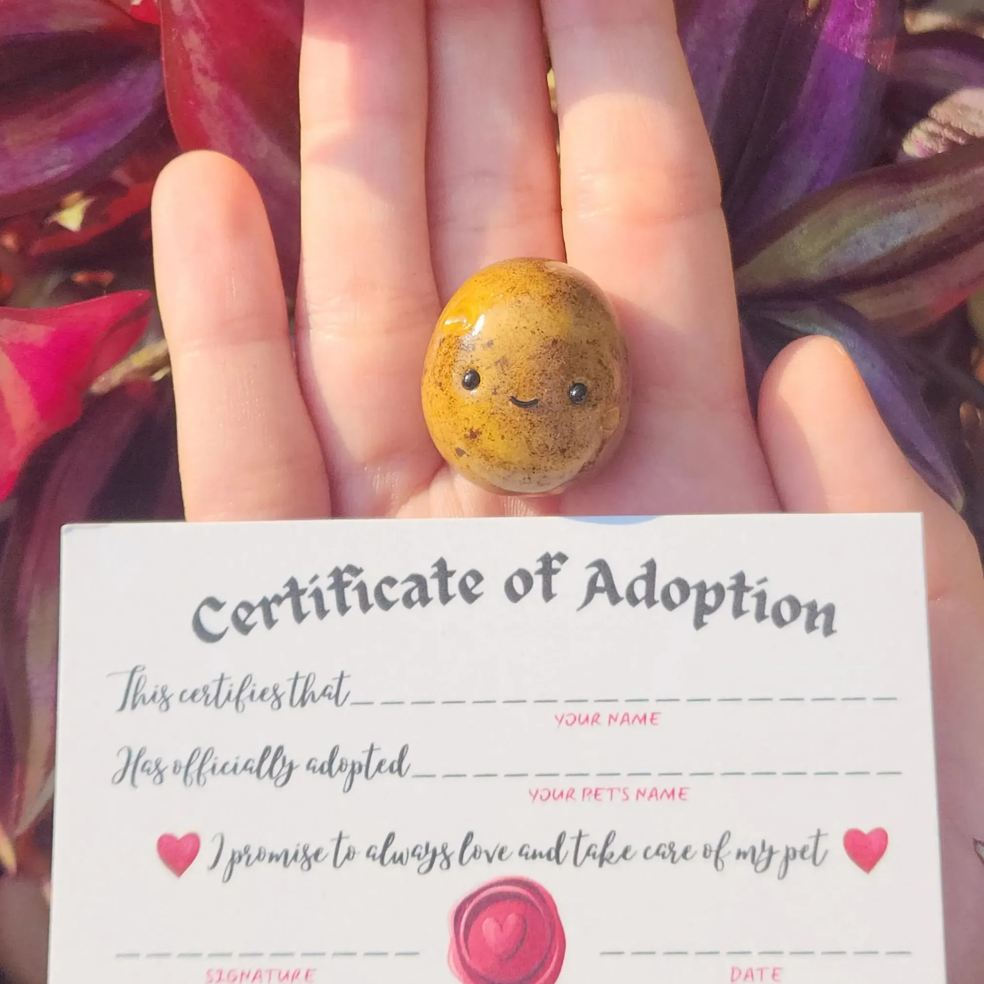 🥔Pet Cheese Potato Desk Gift