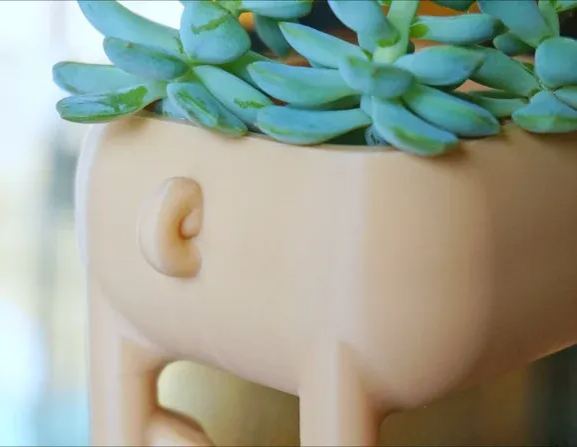 Long Leg Pug Planter