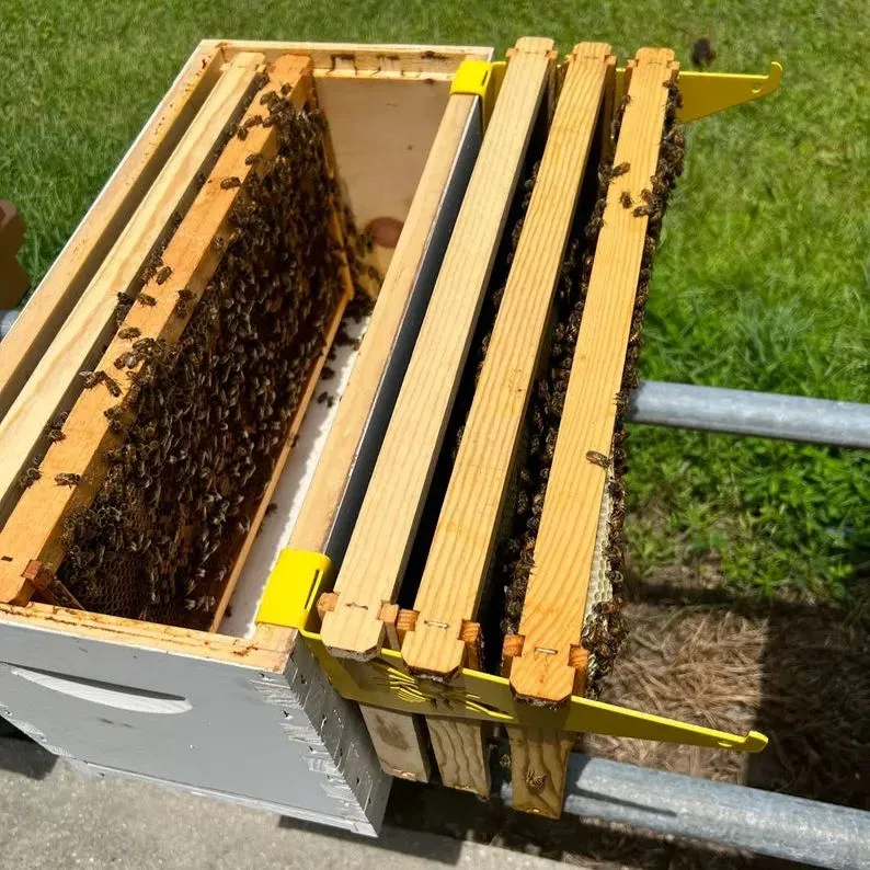 🐝Beehive Inspection Bracket