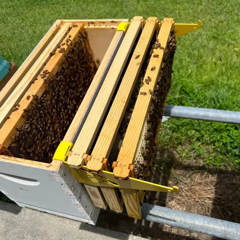 🐝Beehive Inspection Bracket