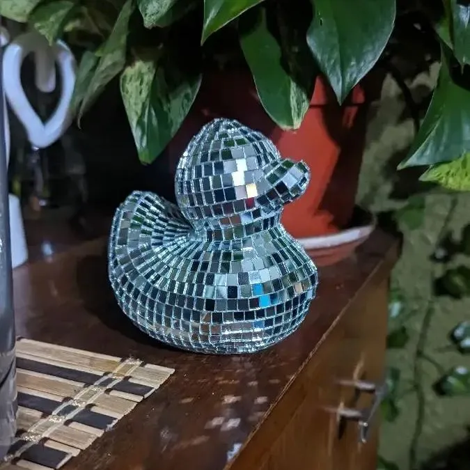 ✨🦆Charming Disco Mirror Duck