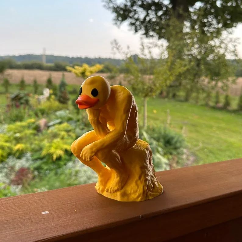 ✨New Funny Thinker Middle Finger Duck🖕🎁