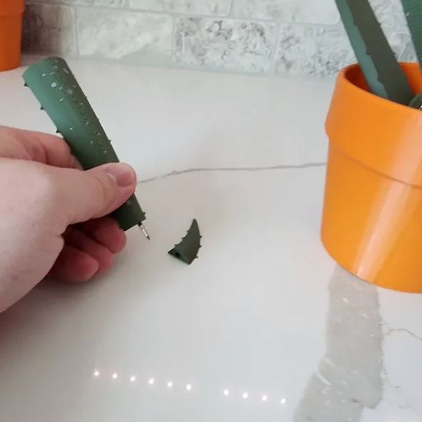 3D Printed Aloe Vera Pen Plant