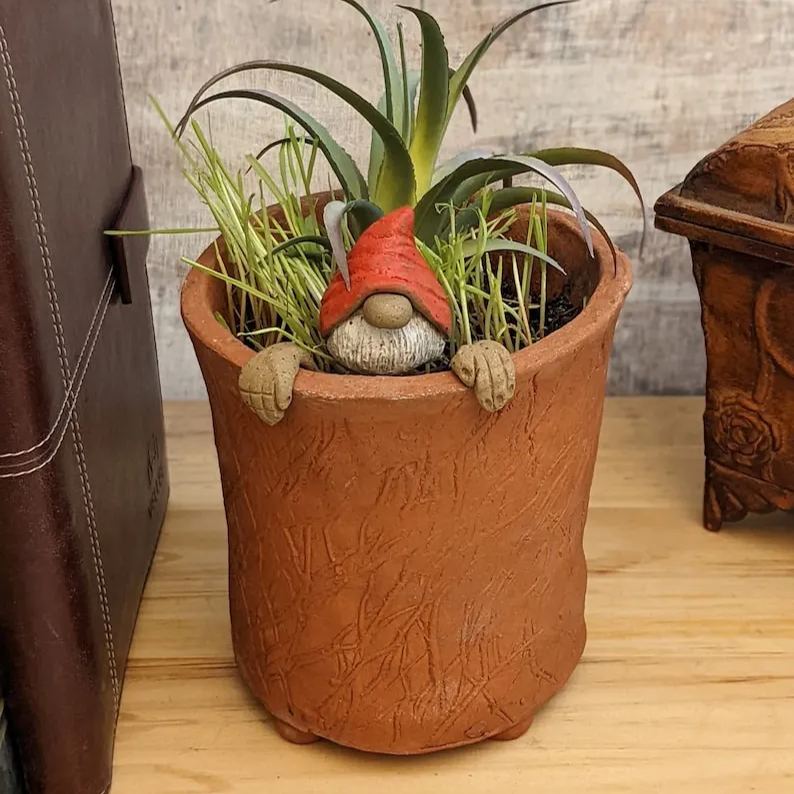 Gnome Plant Buddy