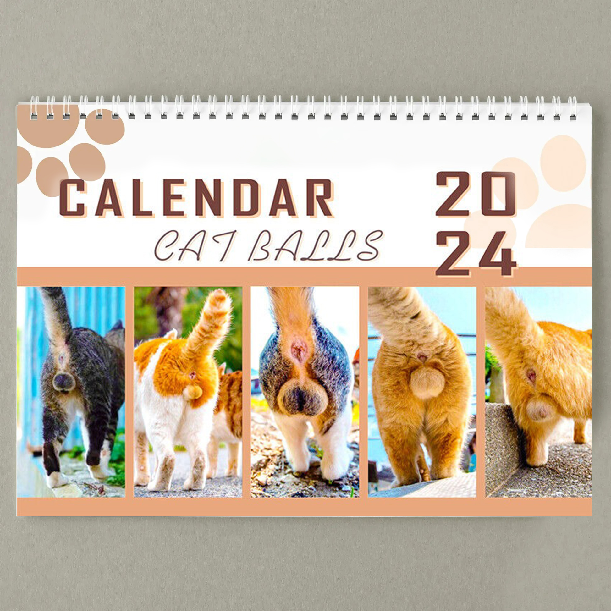 2024 Funny Cats Buttholes Calendar