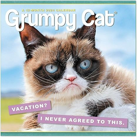 2024 Grumpy Cat Monthly Wall Calendar