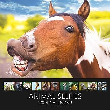 🔥Christmas Hot Sale - 🐴Wildlife Selfie Calendar 2024