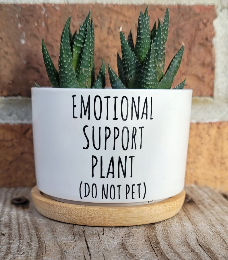 🌱Funny Plant Pot