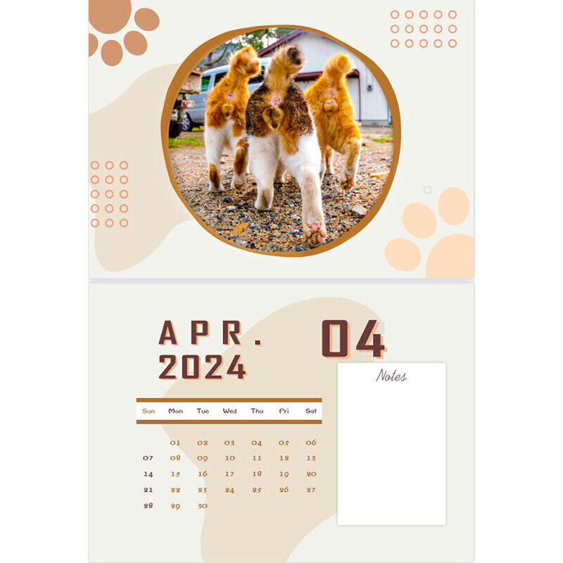 2024 Funny Cats Buttholes Calendar