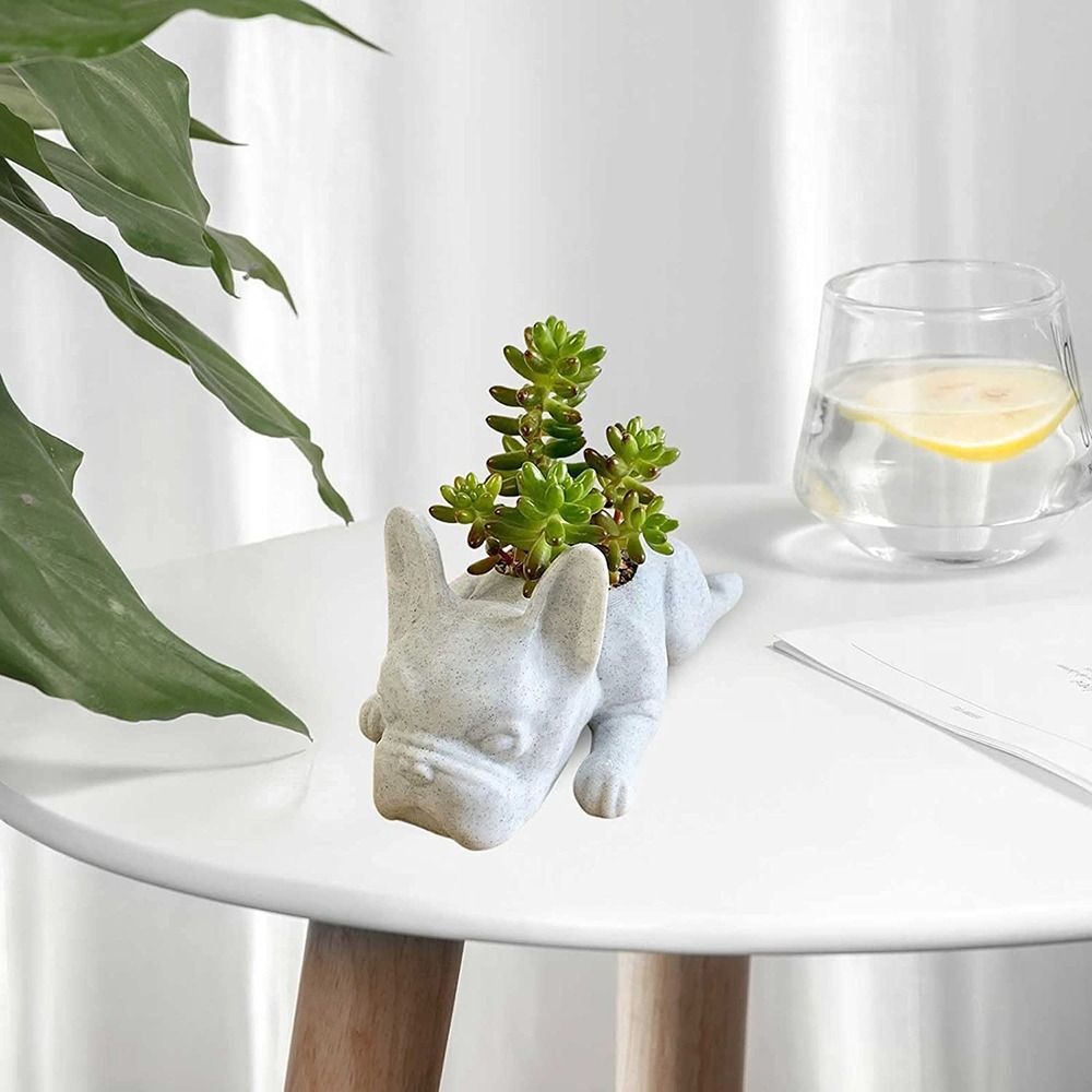 🌵French Bulldog Succulent Flower Pot