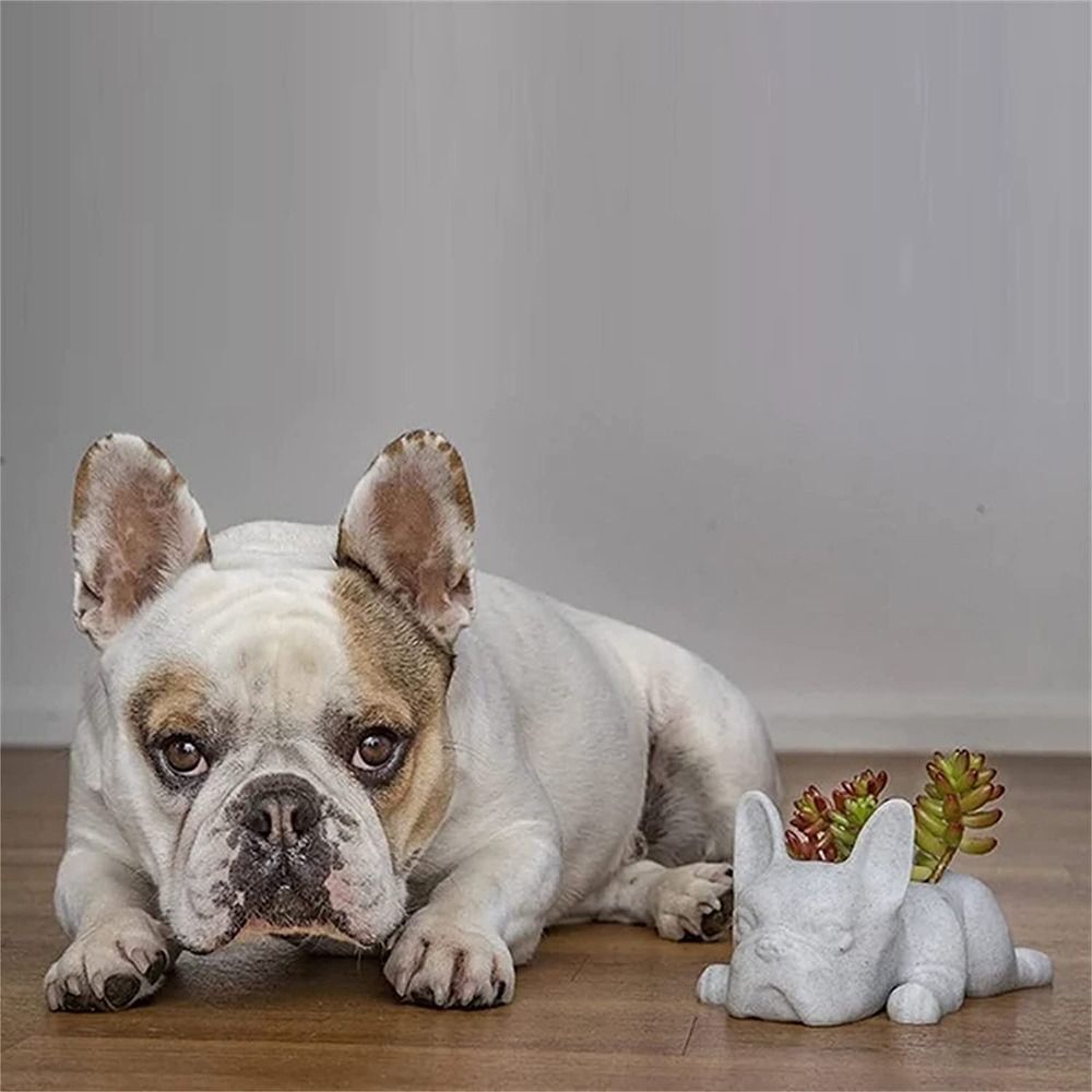 🌵French Bulldog Succulent Flower Pot