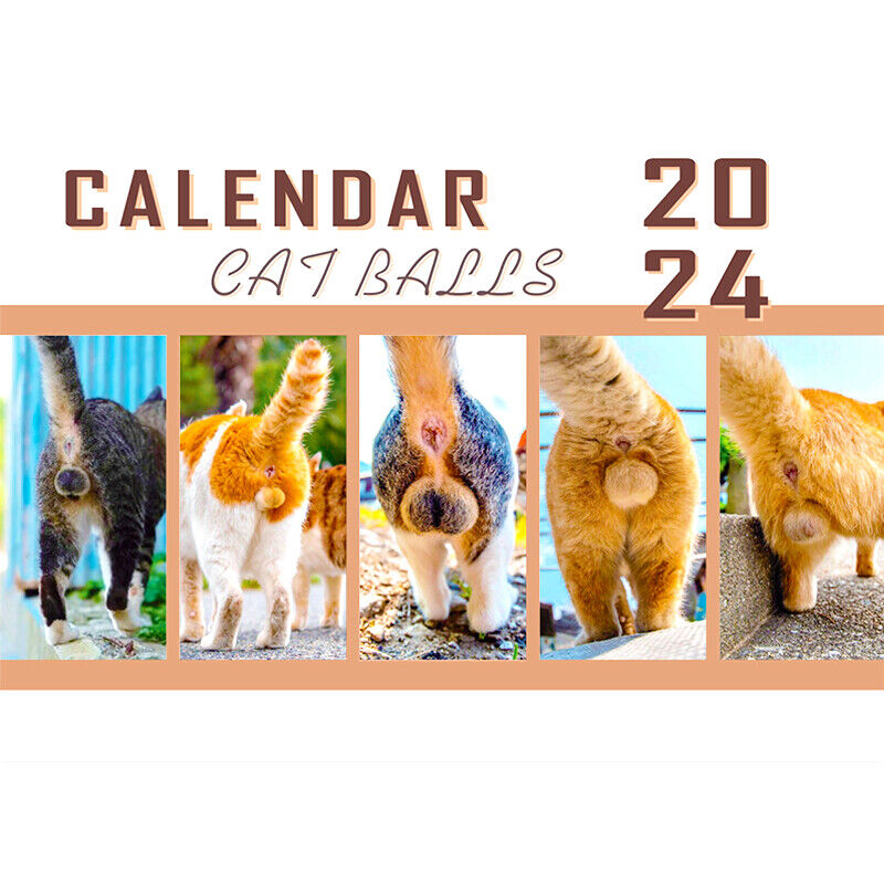 2024 Funny Cats Buttholes Calendar