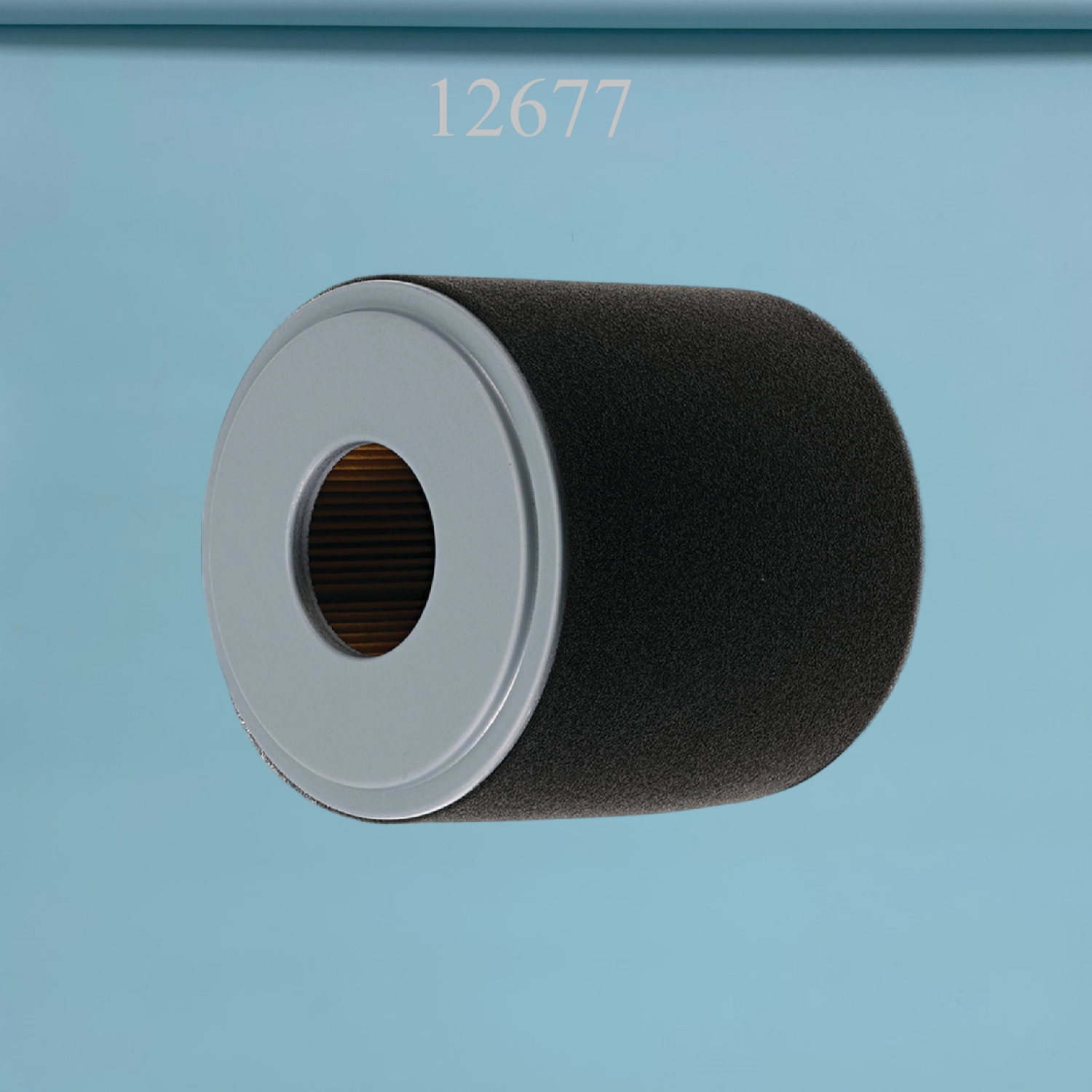 HONDA : GX270, GX290，17210-Z1C-781