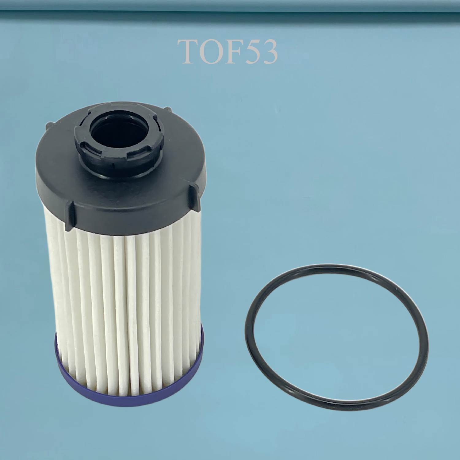 TOF53 Transmission Oil Filter for BYD
197831
ADBP210232
NT-41001
H 5006
5961.308.612
12314254-00
