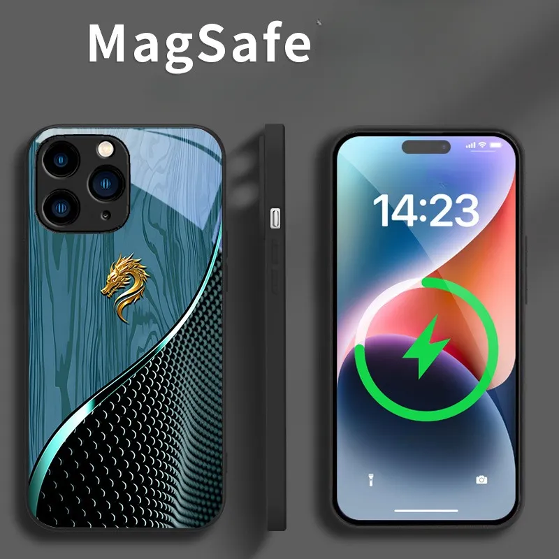 Magsafe Dragon Spirit Wood Grain Case For iPhone