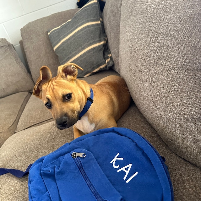 Personalized Embroidery Kid Canvas Backpack