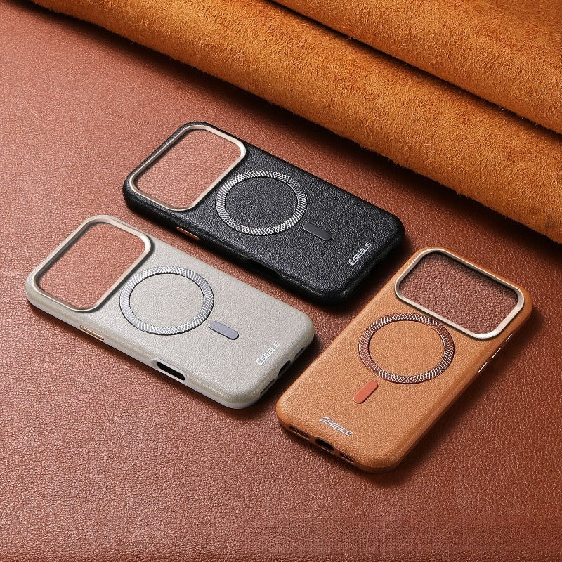 Triangle Peak Magnetic Business Case For iPhone