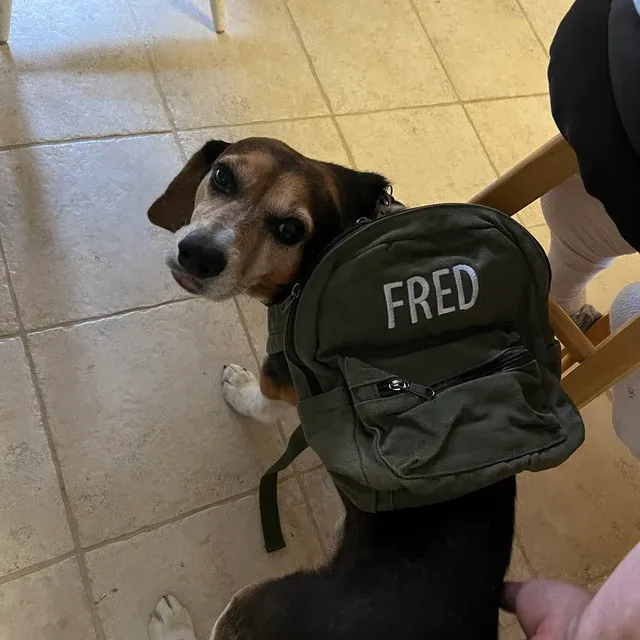 Personalized Embroidery Kid Canvas Backpack