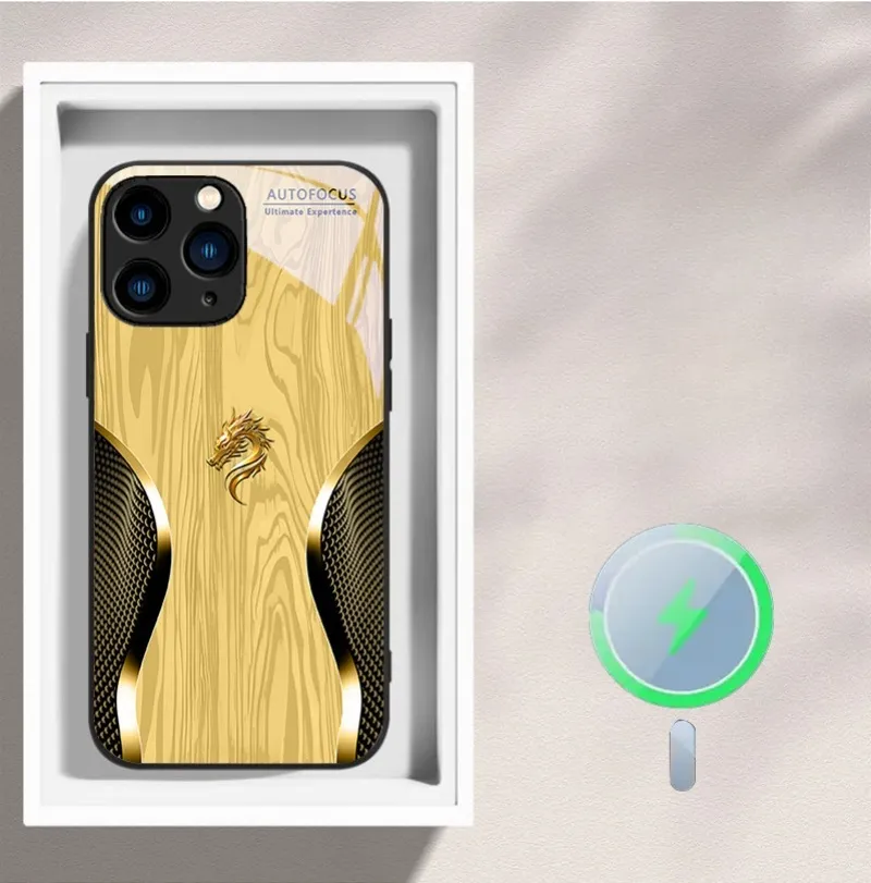 Magsafe Dragon Spirit Wood Grain Case For iPhone