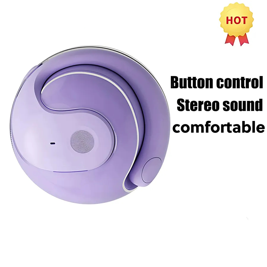 Ear-hook translation Bluetooth headset