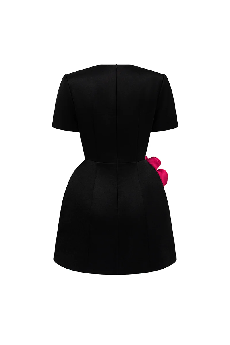 Rylan A-line Applique Mini Dress