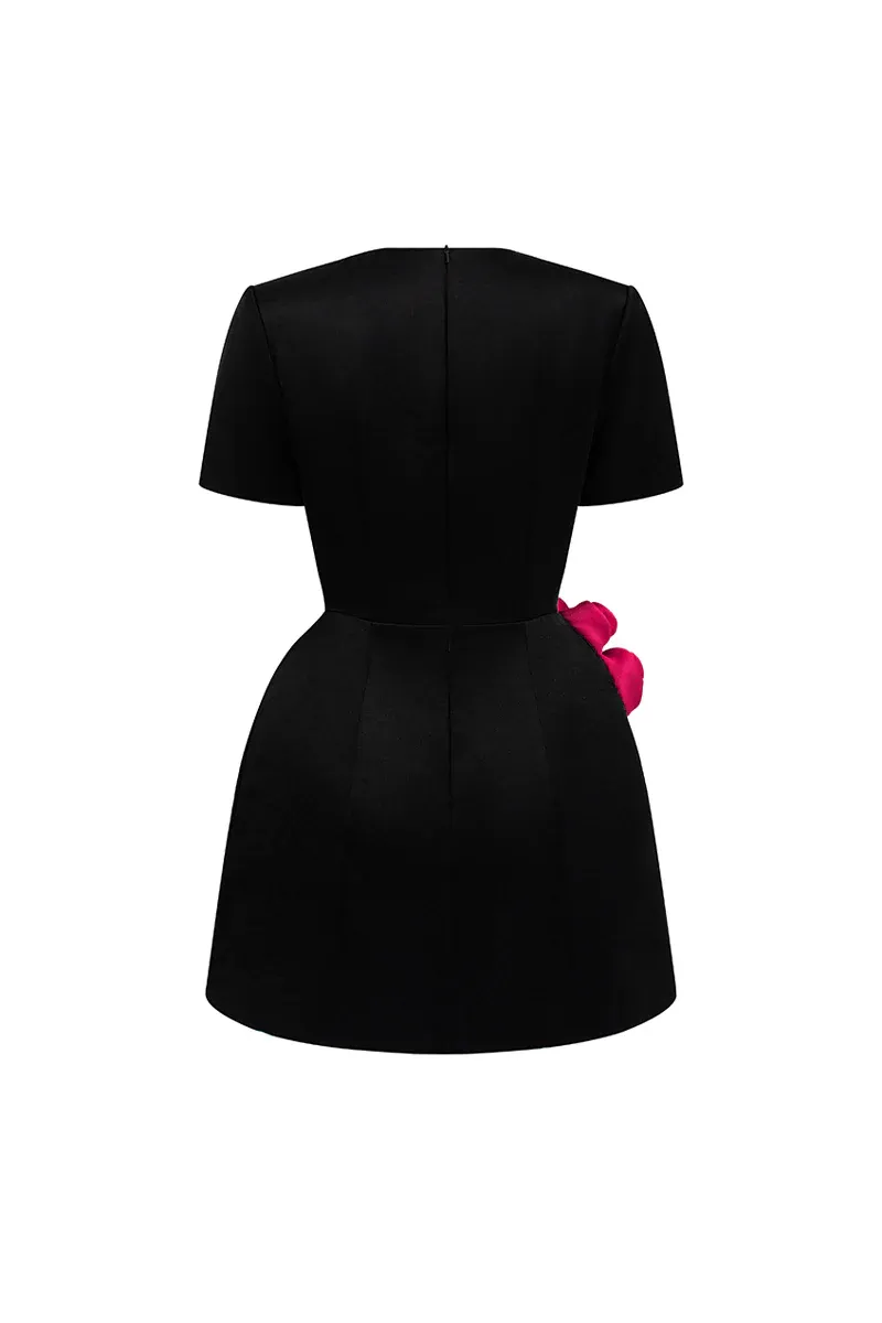 Rylan A-line Applique Mini Dress