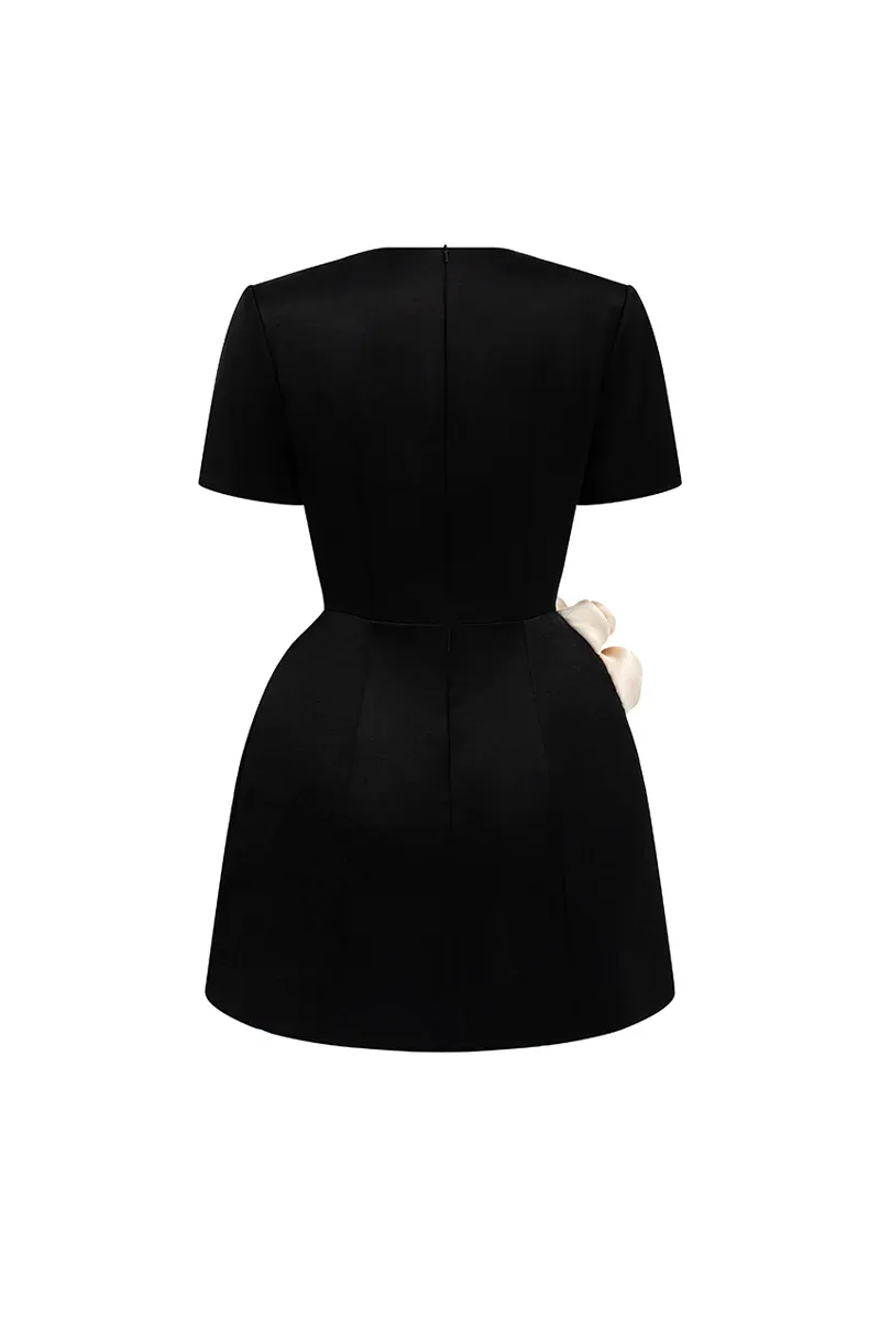 Rylan A-line Applique Mini Dress